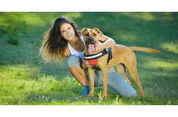 Bíróságon a Julius-K9 kutyahám ügye