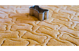 Így készíts egészséges jutalomfalatot kedvencednek!