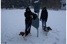 Nagykanizsa a kulturált állattartásért