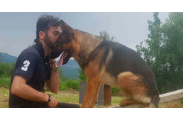 Egy hős halála Olaszországban - megmérgeztek egy mentőkutyát