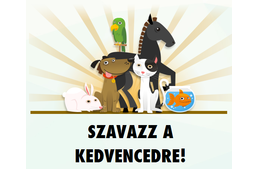 Egy klikk az állatokért!