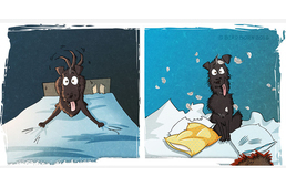 Ilyen egy örökbefogadott menhelyi kutya új élete - képregényben elmesélve