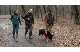 Kutya segíthet megszüntetni a mérgezéses veszélyt