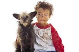 Kisgyerekek vs. kutyák 2.0