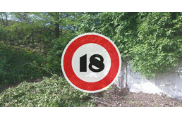 Agyonvert kiskutyát találtak a kutyafuttatóban - A lakosság segítségét kérik az állatkínzó megtalálásában!