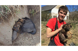 Éhhaláltól mentettek meg egy kölyökkutyát Szombathelyi Önkéntes Tűzoltók