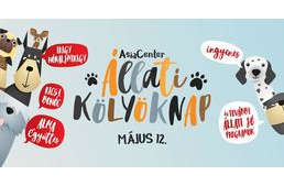 Megeszi a kutya a telet! Újra Állati Kölyöknap az AsiaCenterben