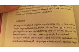 Kiakasztotta a kutyabarátokat egy kismamáknak szóló könyv