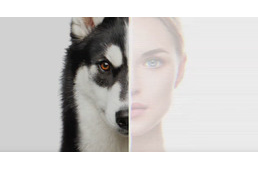 Így látnak minket kutyáink - Arcfeldolgozásuk nem olyan kifinomult, mint a miénk