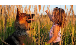 Megható vers egy kutya és kis gazdája közötti szeretetről 