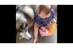 Amikor a kutya a gyerkőc legjobb barátja - mosolyogj Te is!