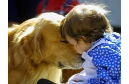 Bizonyított: a kutyák tudják, mit érez a gazdi