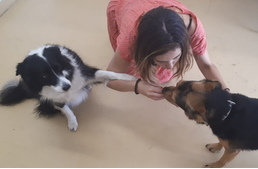 Kutyáknál is felbukkan a zöld szemű szörny?