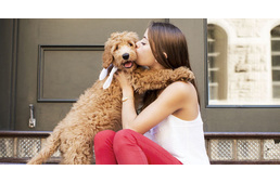 Óriási összeget költenek a csehek kedvenc háziállataikra