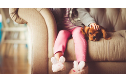 Jobban együttérzünk kutyáinkkal, mint embertársainkkal