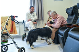 Rendeletmódosítás kellene, hogy a terápiás kutyákat beengedhessék az egészségügyi intézmények