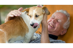  Az idősebb embereknek receptre kellene kutyát felírni