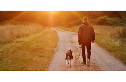 Extrém drága lesz a kutyasétáltatás Szegeden