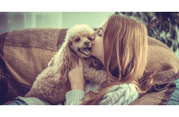 Genetikailag van kódolva a kutyákban az emberszeretet