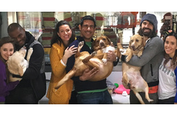 Ilyen az, amikor négy menhelyi kutya-testvér négy év után újra találkozhat