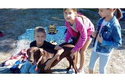 Egy magyar iskola, ahol kutyák társaságában tanulhatnak a diákok