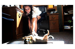 A kutyák csökkentik a munkahelyi stresszt?