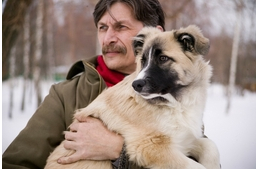 A kutyák képesek külön kezelni saját érdeklődésüket és gazdáik érzelmeit