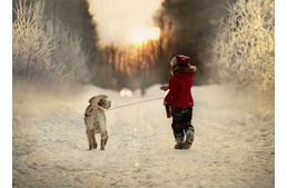 Kinek van kedve ebben a kutya hidegben kutyagolni? 