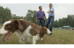 Amilyen a kutyád, úgy neveld!