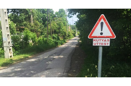 A legfurcsább (kutyás) közúti tábla, amit valaha láttunk