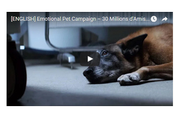 Kutyád soha nem hagyna cserben. Te megtennéd Vele?