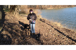 Élménybeszámoló egy kutyabarát pihenésről