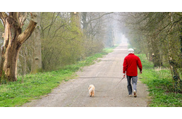 A kutyasétáltatás nem csak a kutyának jó!