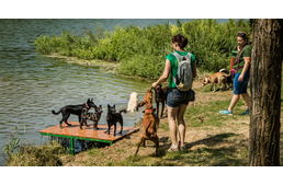 Kutyastrand nyílt a Gébárti-tavon!