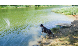 Kipróbáltuk az ország legújabb kutyastrandját