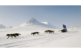 A világ egyik legkeményebb versenye - segíts, hogy magyar induló is bizonyíthasson!