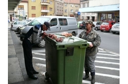 Kutyatámadás: széttépte a csivavát…   (+18!)