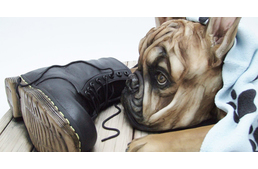 Elképesztően élethű kutya-torták