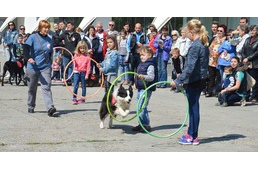 Kutya(jó)világ Pécsett - konferencia az állatok védelméért színes vásári forgataggal kísérve
