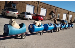 A kutyavonat, amely életeket ment