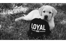 Propagandával a vakvezető kutyákért