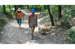 A kutyák imádnak gazdájukkal nyaralni!