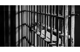 Már két letöltendő büntetést is kiszabtak a fővárosban állatkínzás vétségéért