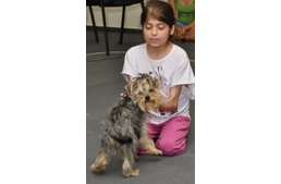 Adomány koszorúk helyett - Nyirati Lili végakarata