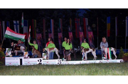 Óriási magyar sikerek az Európa Bajnokságon!