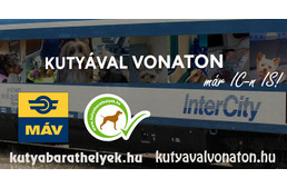 Kutyával az InterCity járatokon? Igen!