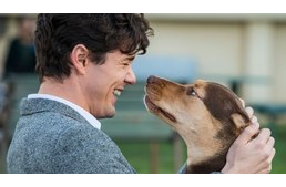 Januárban új kutyás film érkezik a mozikba – íme, az Egy kutya hazatér előzetese