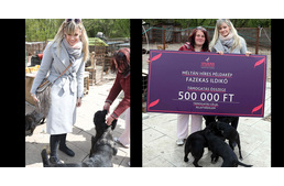 Menhelyen élő kutyákat támogat Peller Mariann