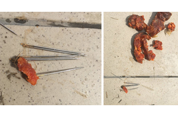 Üvegszilánkok és tűk a kutyafuttatón