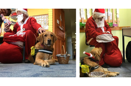 Idén a Mikulás kutyával érkezett